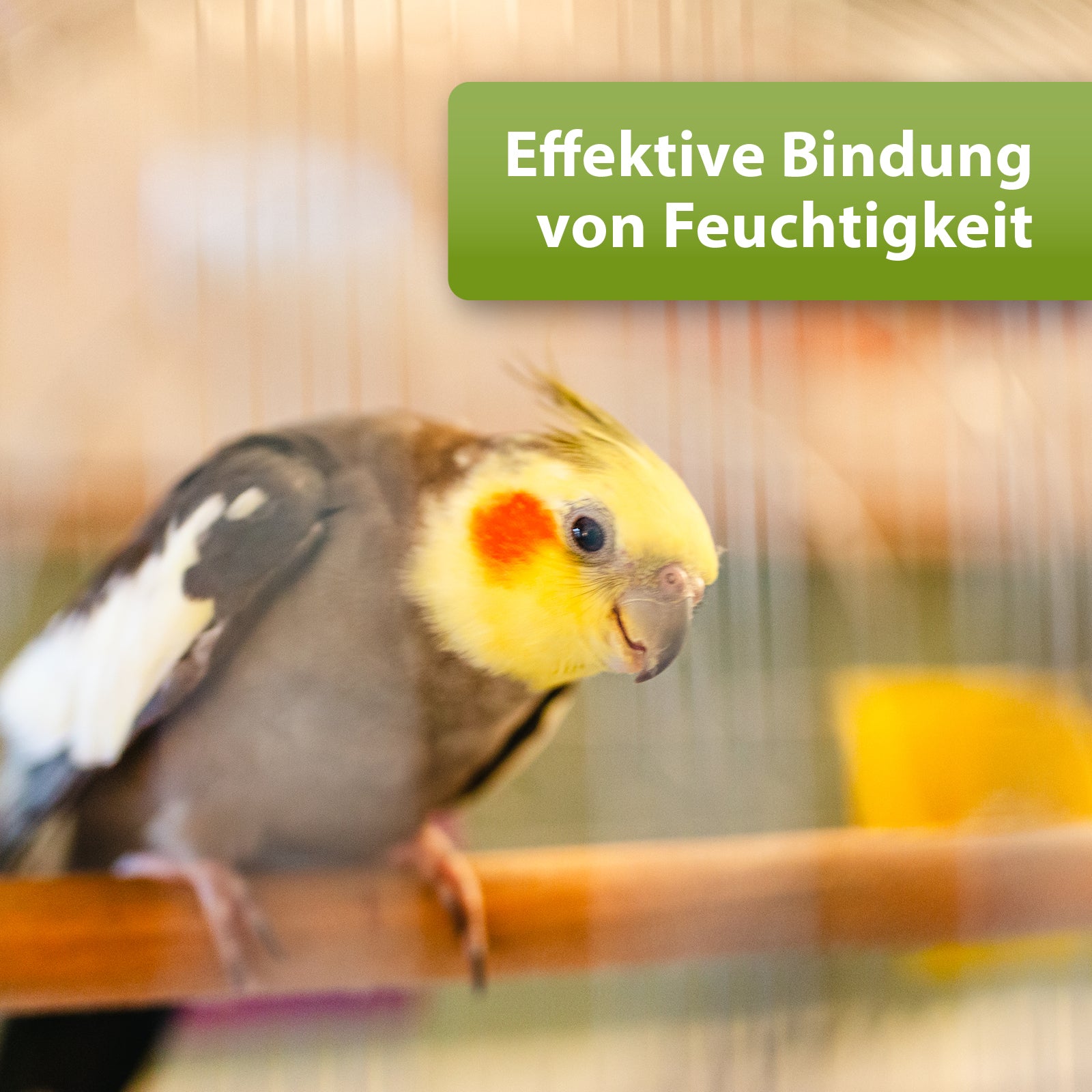 Vogel sitzt im Vogelkäfig - Effektive Bindung von Feuchtigkeit