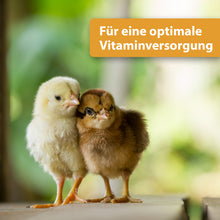 Laden Sie das Bild in den Galerie-Viewer, Zwei Küken aneinander gekuschelt - Für eine optimale Vitaminversorgung
