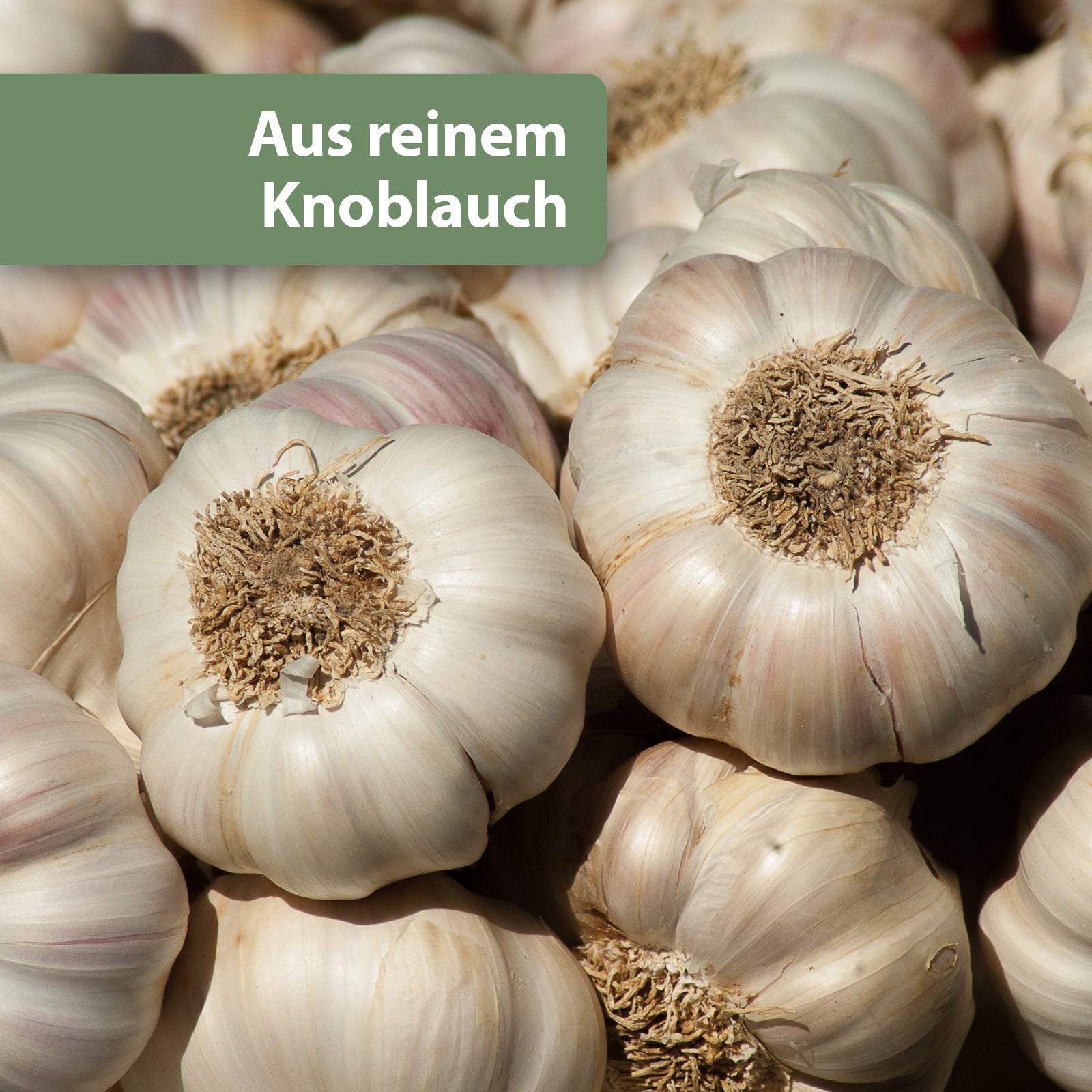 Knoblauchzehen - Aus reinem Knoblauch