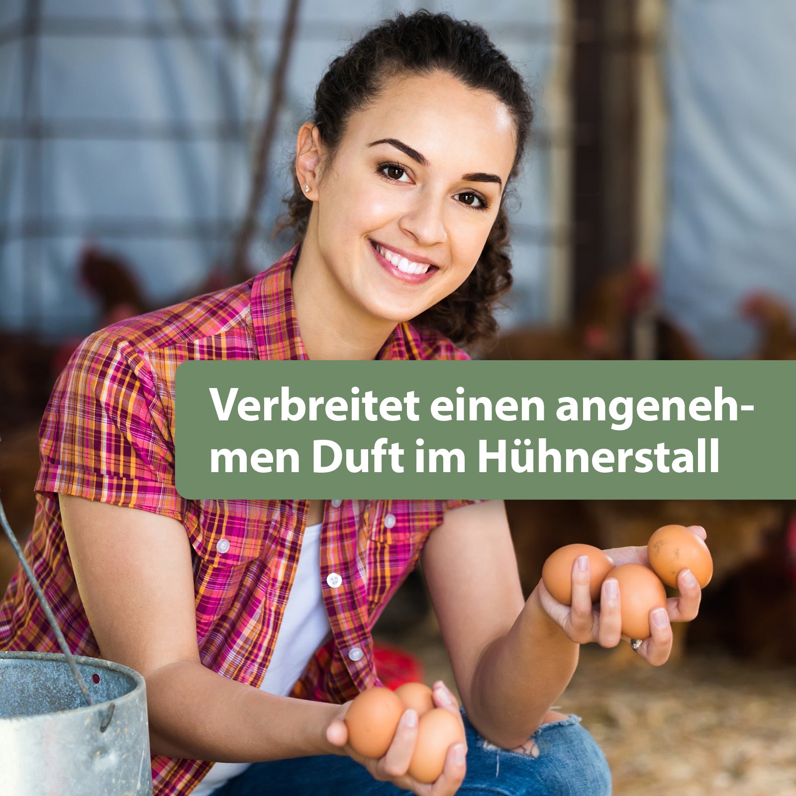 Frau hält Eier in der Hand - Verbreitet einen angenehmen Duft im Hühnerstall