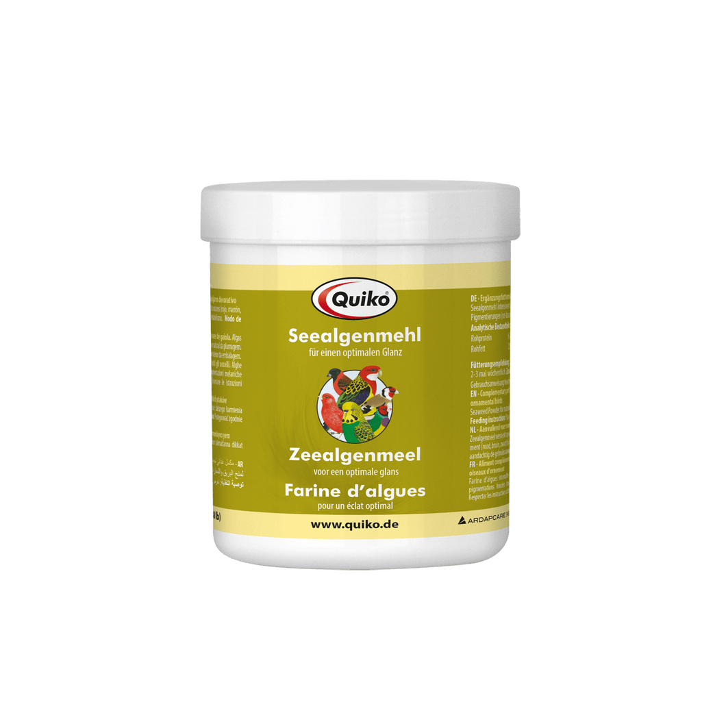 Quiko seaweed meal: For ornamental birds with dark pigmentation