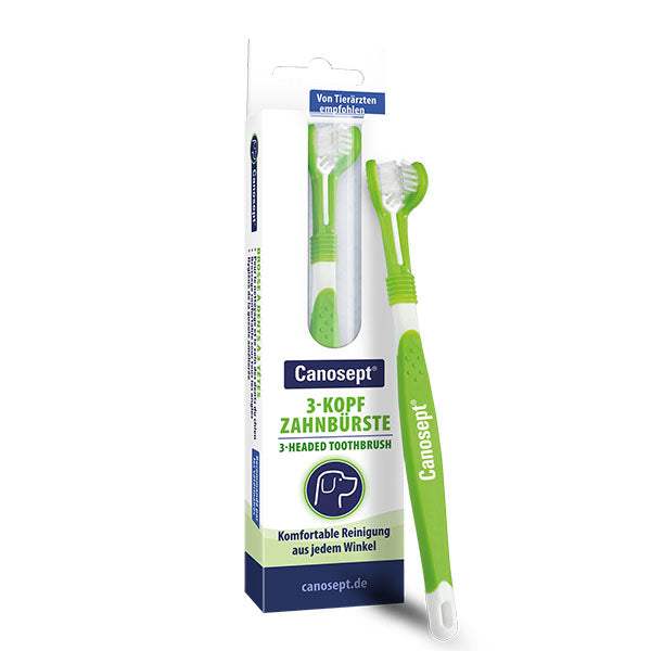 Canosept 3-headed toothbrush