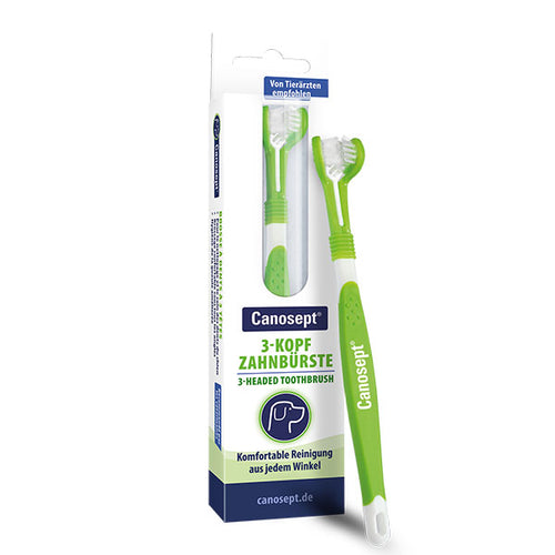 Canosept 3-headed toothbrush