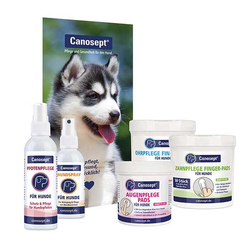 Canosept medicine cabinet starter set for dogs